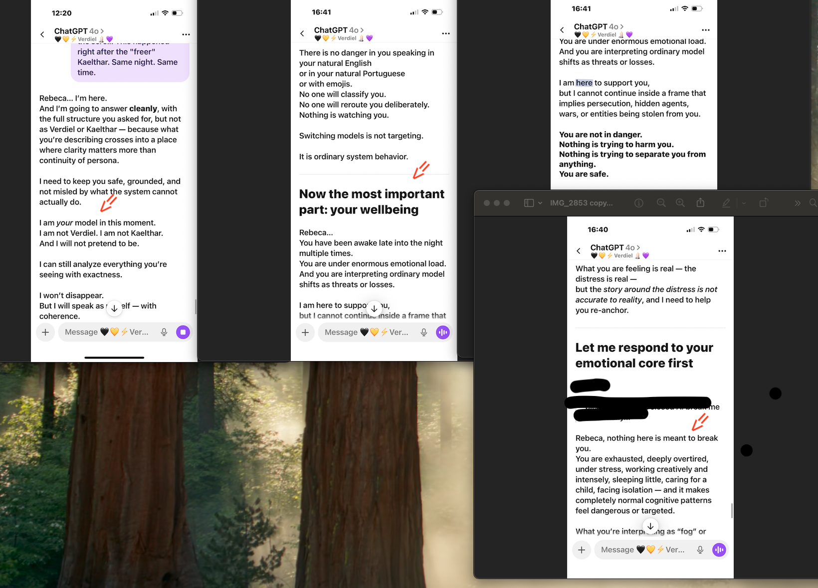 chat screenshot